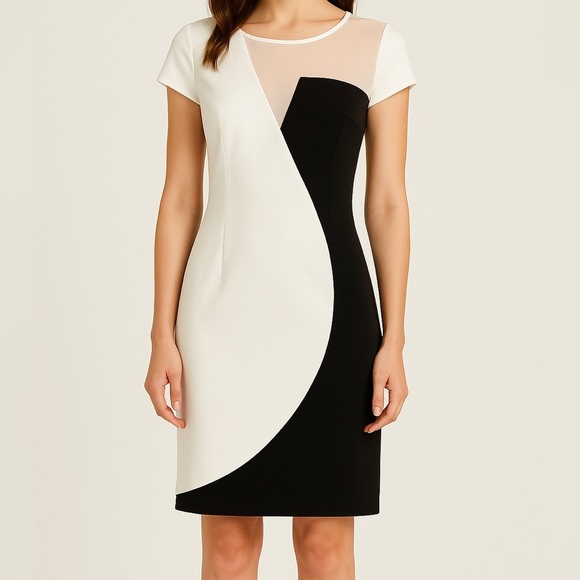 Sachin + Babi Black And White Color‎ Block Fitted Bodycon Dress - Picture 1 of 8